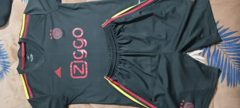Conjunto deportivo Japón anime azul - 2