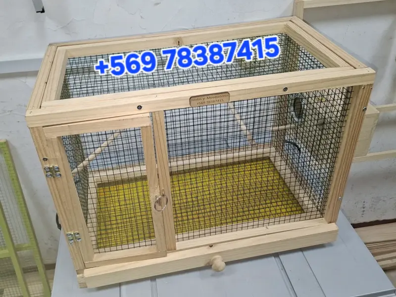 Jaula de madera para cría de aves - 2