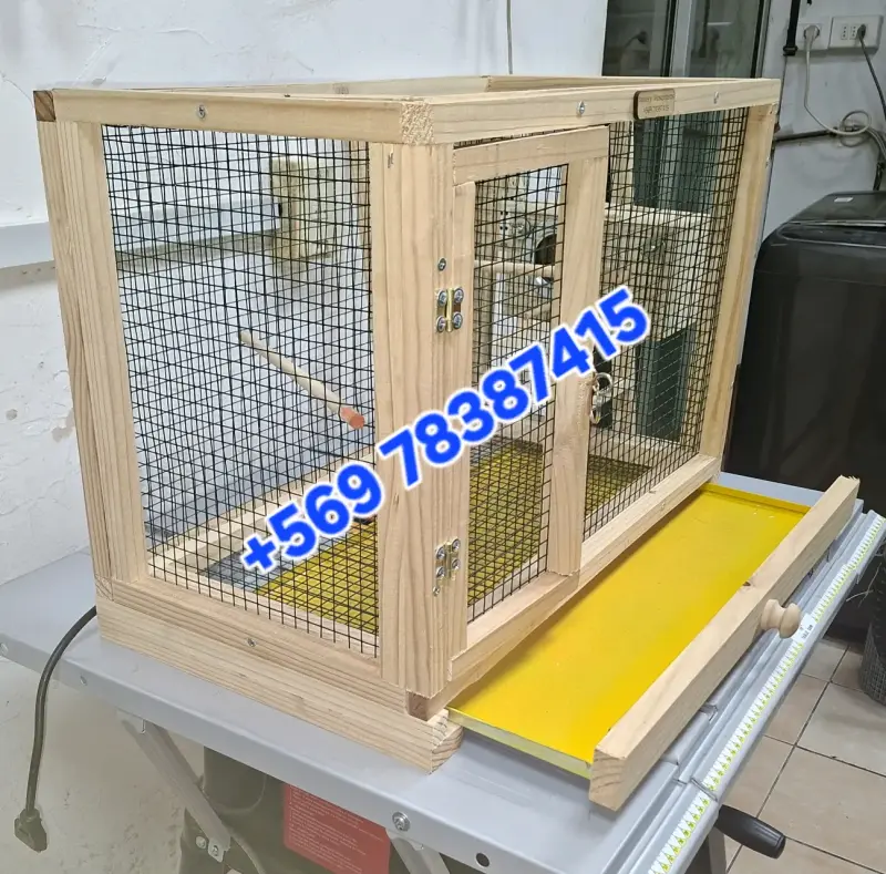 Jaula de madera para cría de aves - 4