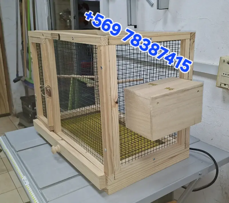Jaula de madera para cría de aves - 5