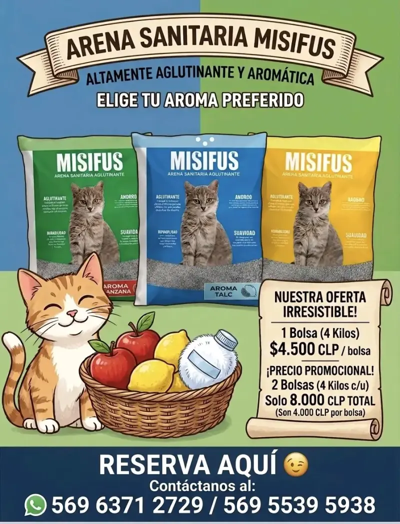Arena Sanitaria Aglutinante Misifus 4kg - 1