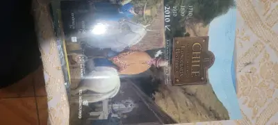 Libro Chile en Cuatro Momentos Volumen II - miniatura 2