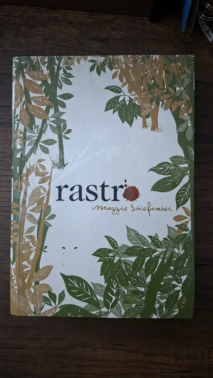 Libro de Maggie Stiefvater en excelente estado! - 1