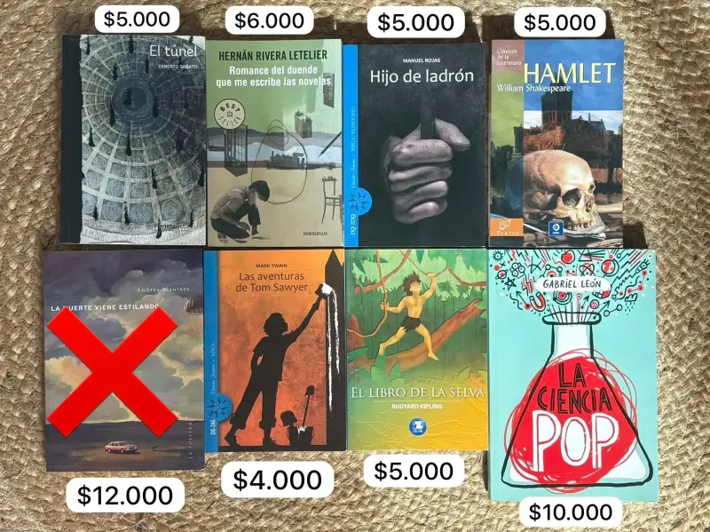 Lote de Libros Variados en Buen Estado - 3