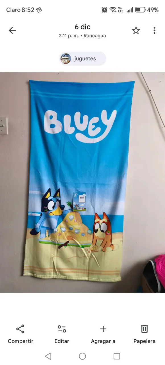 Toalla infantil Paw Patrol, Bluey. - 4