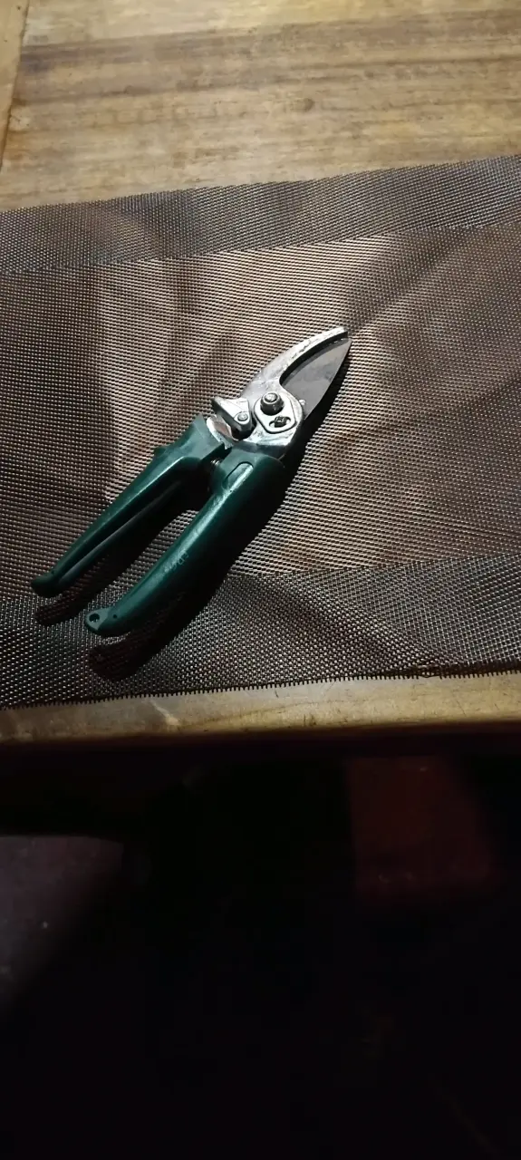 Tijeras de podar de jardín con mango ergonómico