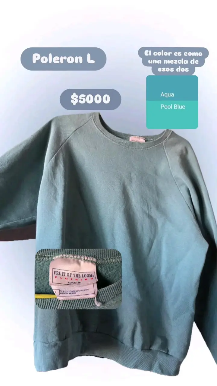 Polerón Fruit of the Loom color aqua
