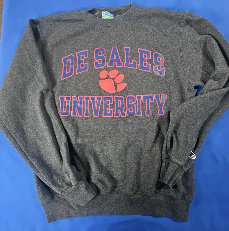 Polerón gris universitario Champion DeSales - 2