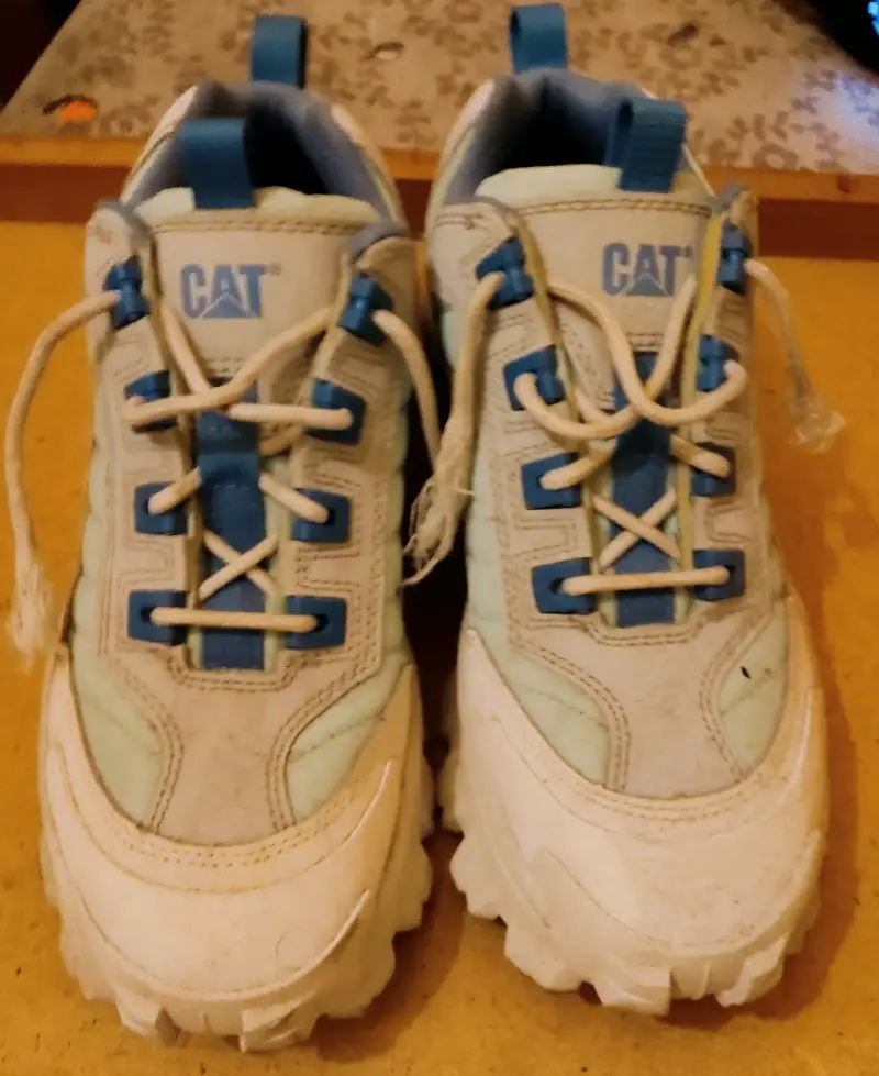 Zapatillas deportivas CAT para hombre