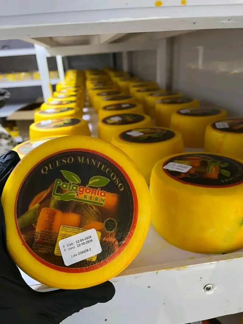 Queso Mantecoso Patagonia Kern 1kg - 1