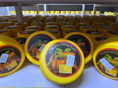 Queso Mantecoso Patagonia Kern 1kg - miniatura 2