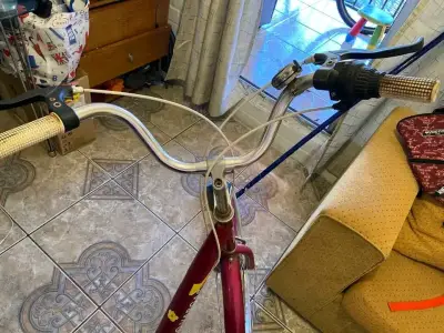 Bicicleta vintage roja con portaequipaje - miniatura 2