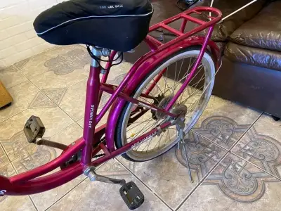 Bicicleta vintage roja con portaequipaje - miniatura 6