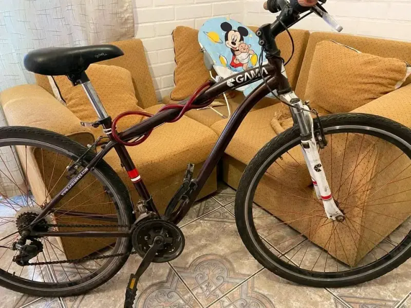 Bicicleta Gama de montaña usada en buen estado - 2