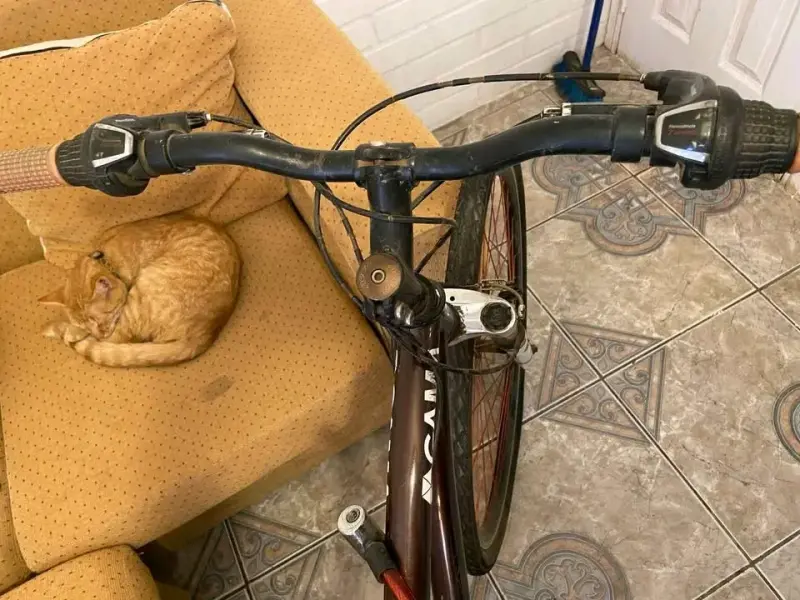 Bicicleta Gama de montaña usada en buen estado - 4