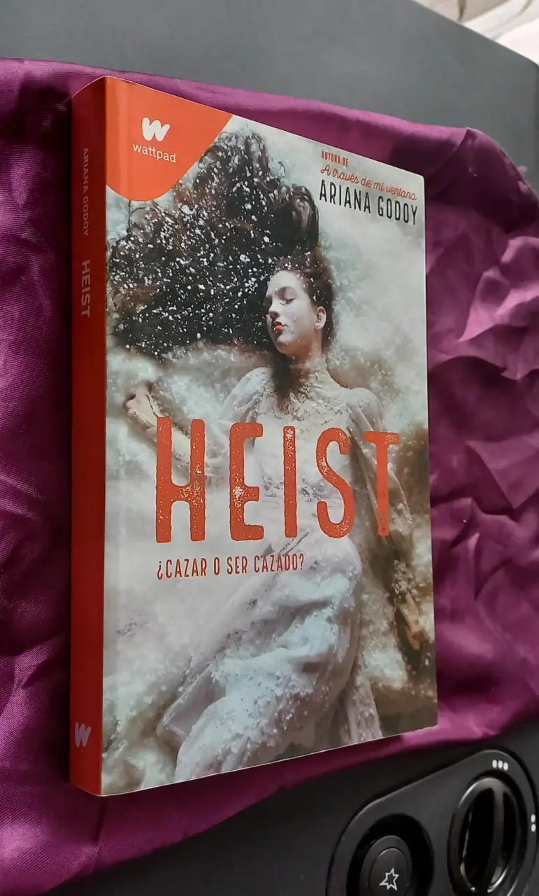 Libro 'Heist' de Ariana Godoy - 4