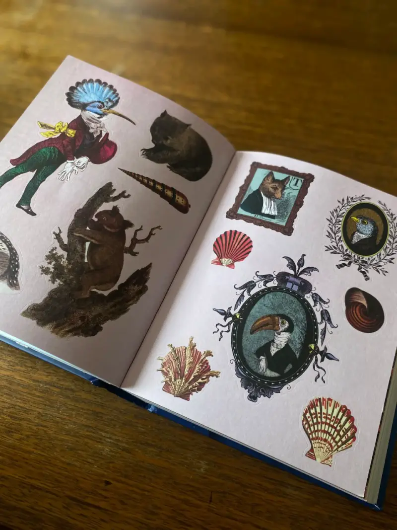 Libro de pegatinas vintage coloridas - 3
