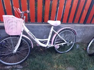 Bicicleta infantil Feixue rosa con canasto - miniatura 1
