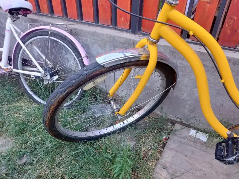Bicicleta infantil Feixue rosa con canasto - 2
