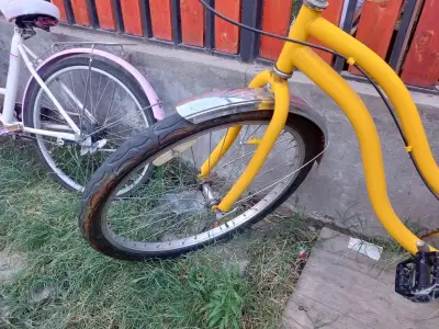 Bicicleta infantil Feixue rosa con canasto - miniatura 2