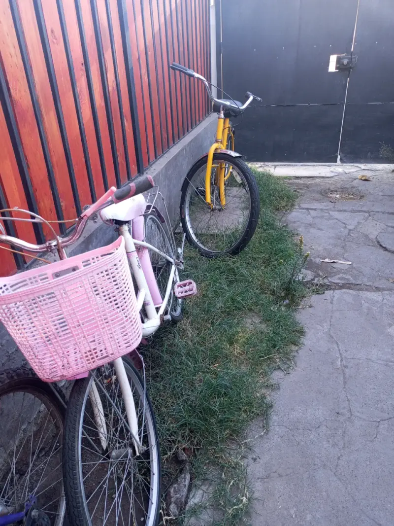 Bicicleta infantil Feixue rosa con canasto - 3