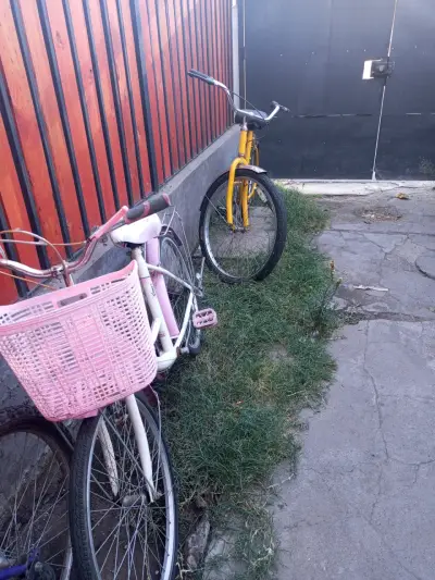Bicicleta infantil Feixue rosa con canasto - miniatura 3