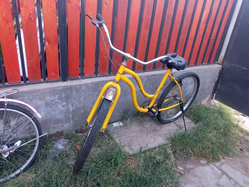 Bicicleta infantil Feixue rosa con canasto - 4