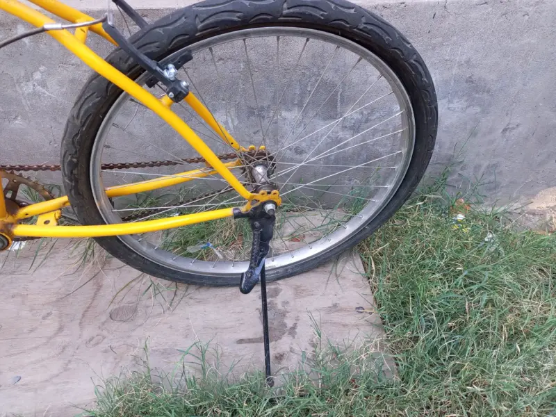 Bicicleta infantil Feixue rosa con canasto - 6