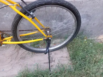 Bicicleta infantil Feixue rosa con canasto - miniatura 6
