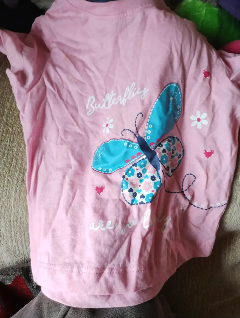 Polera infantil rosada con diseño de mariposa