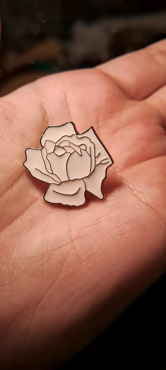 Pins de metal - 1