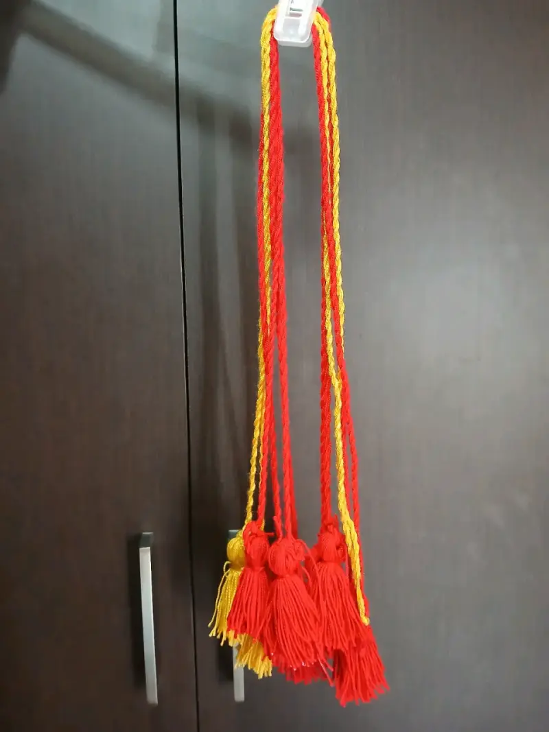 Traje de Diablada - 2