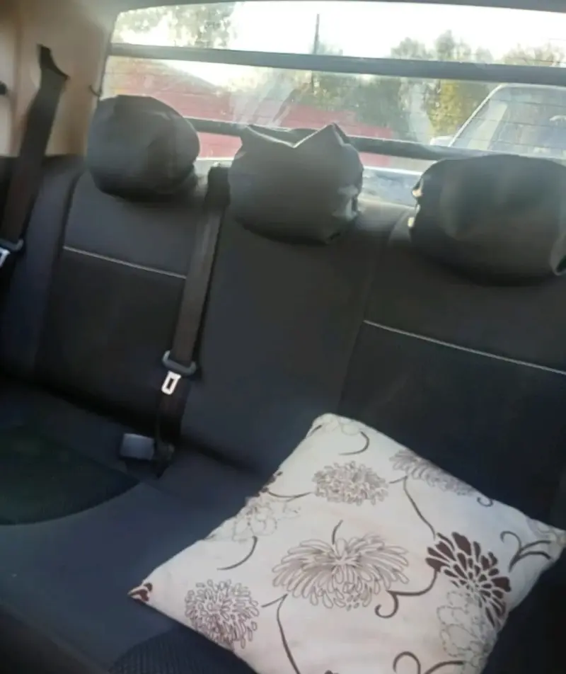 Camioneta saveiro cabinay media  2018 - 3