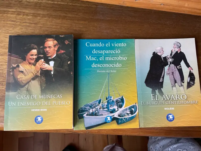 Lote de 10 libros infantiles y juveniles variados - 3