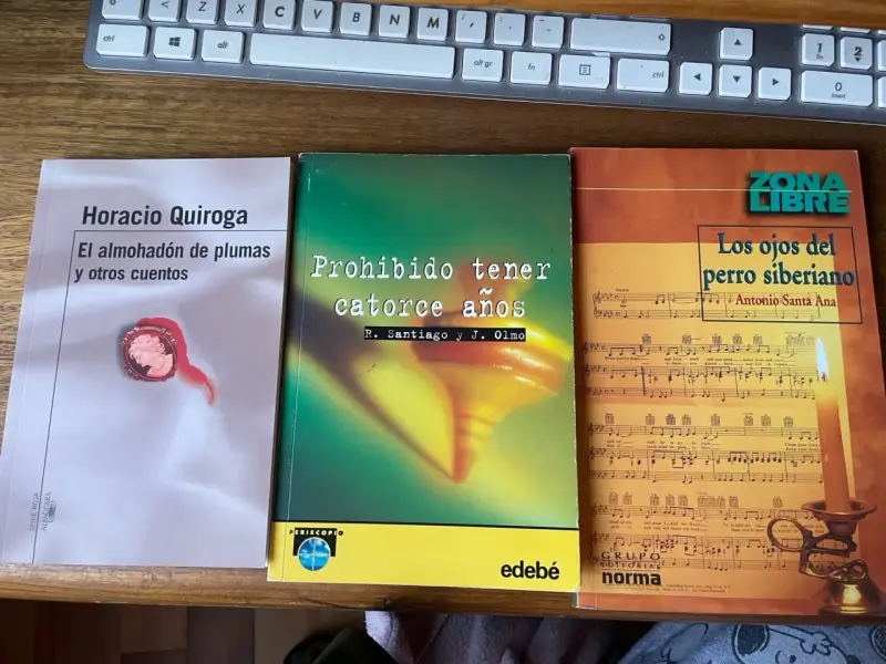 Lote de 10 libros infantiles y juveniles variados - 6