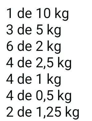 Set de pesas y mancuernas ajustables 53 kg - 2