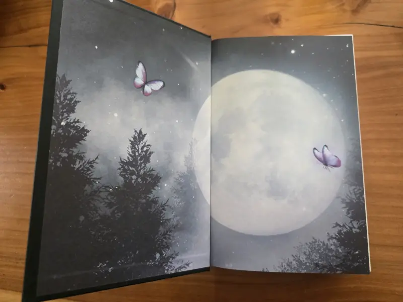 Libro 'Quicksilver' de Callie Hart en tapa dura - 4