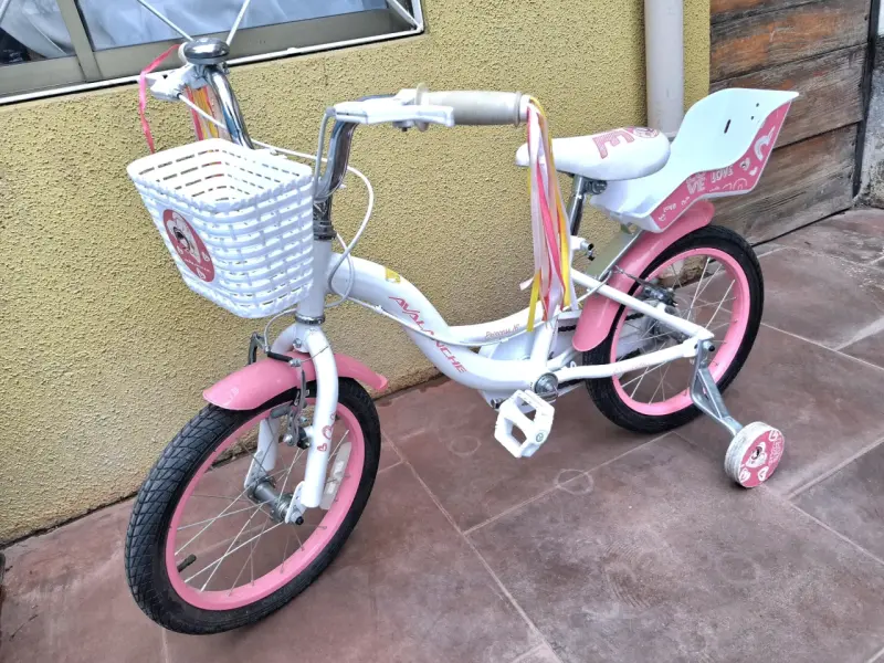 Bicicleta infantil con ruedas de entrenamiento y canasto - 1