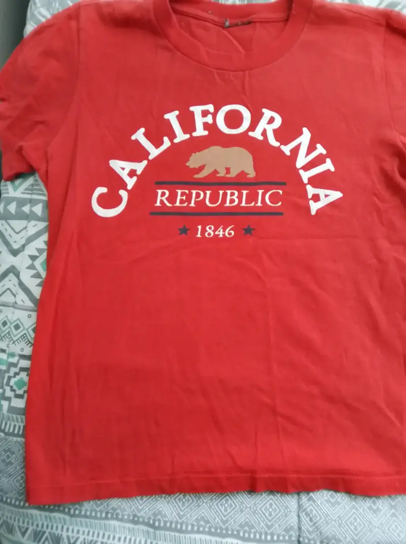 Lote de Poleras Estampadas para Niño - 4
