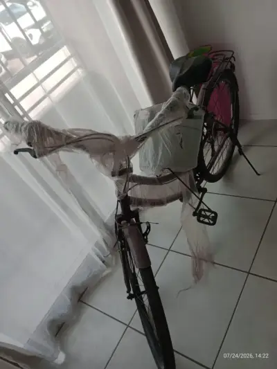 Bicicleta urbana con canasto y parrilla trasera - miniatura 2
