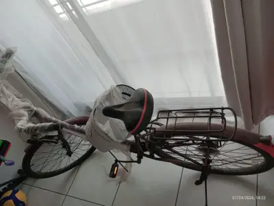 Bicicleta urbana con canasto y parrilla trasera - miniatura 3