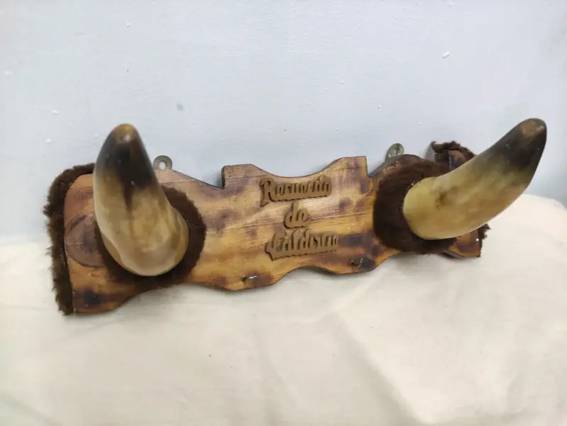 Decoración de pared con cuernos de toro rústica - 2