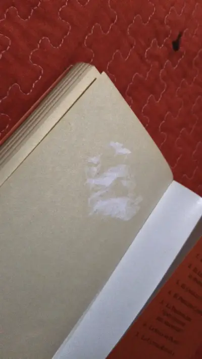 Libro Las Crónicas de Narnia: El Caballo y su Niño - miniatura 3