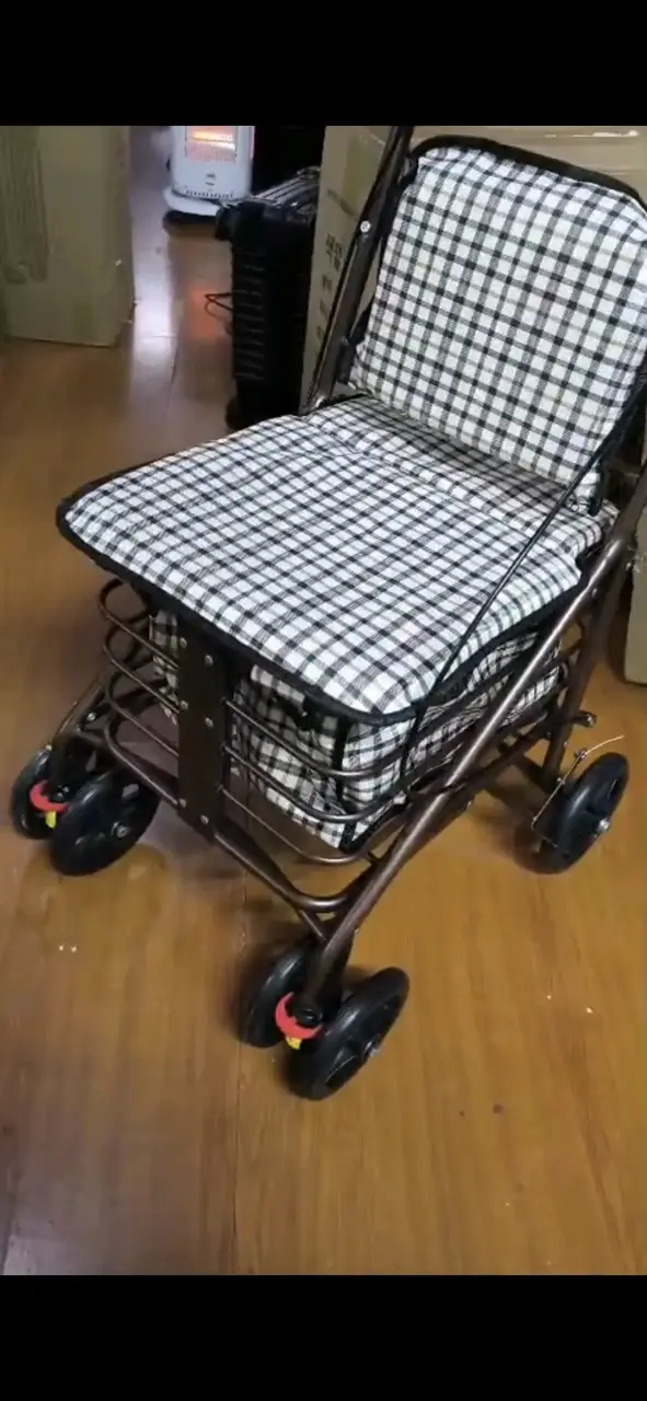 Carrito de Compras Plegable con Asiento - 1