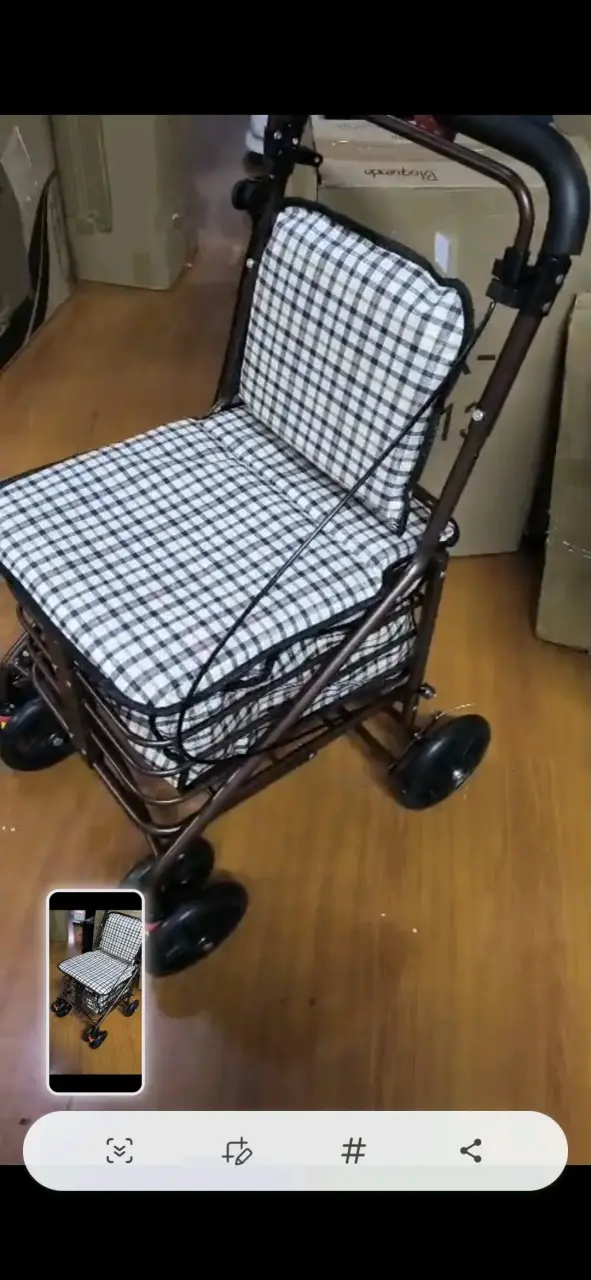 Carrito de Compras Plegable con Asiento - 2