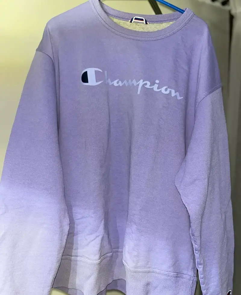 Polerón morado Champion para hombre