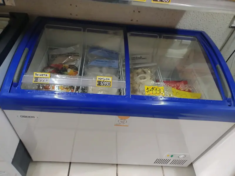 Congelador horizontal con tapa de vidrio Bozzo 250 - 2
