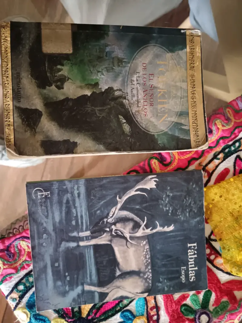 Libros 'El Señor de los Anillos'