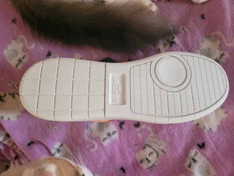 Zapatillas Lacoste originales - 4