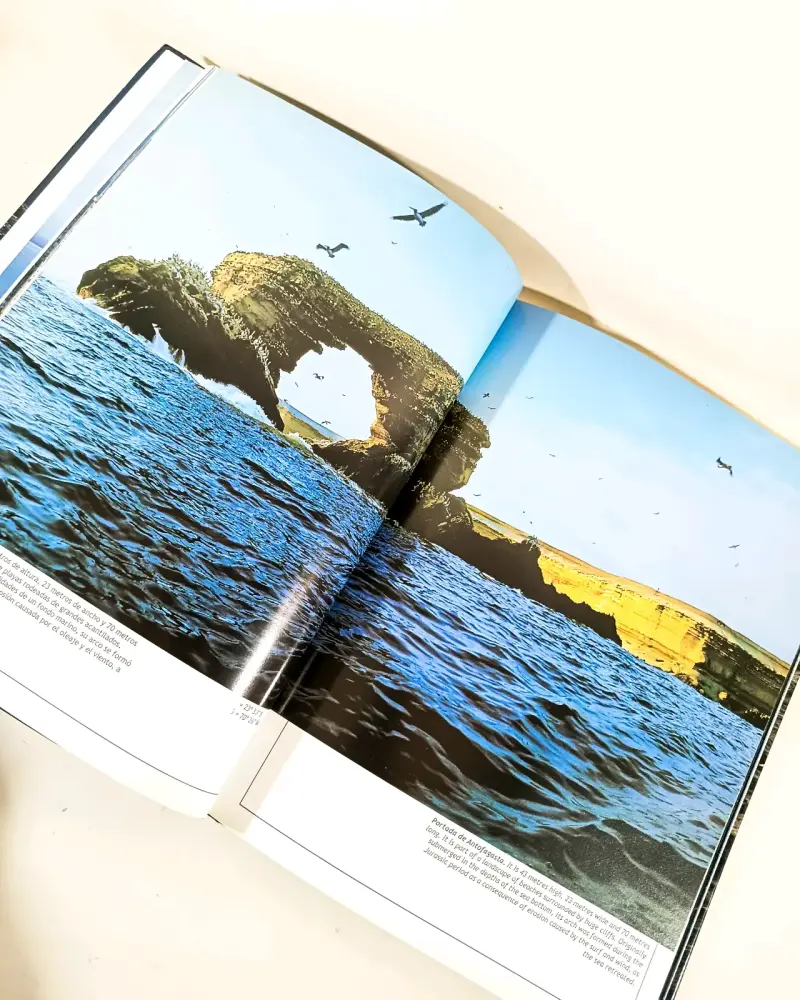 El Mar de Chile - Editorial Kactus. - 4